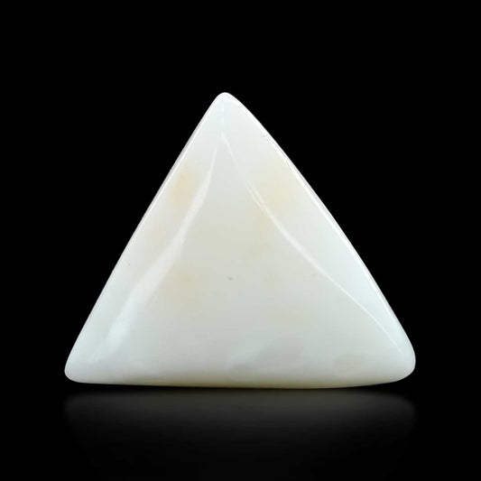Japani White Coral 12.18 Carat