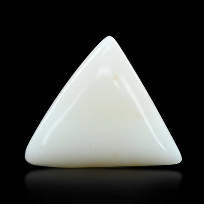 Japani White Coral 12.18 Carat