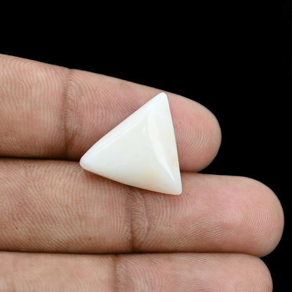 Japani White Coral 12.18 Carat