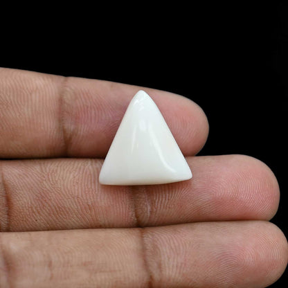 Japani White Coral 18.16 Carat