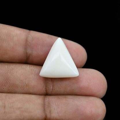 Japani White Coral 18.16 Carat