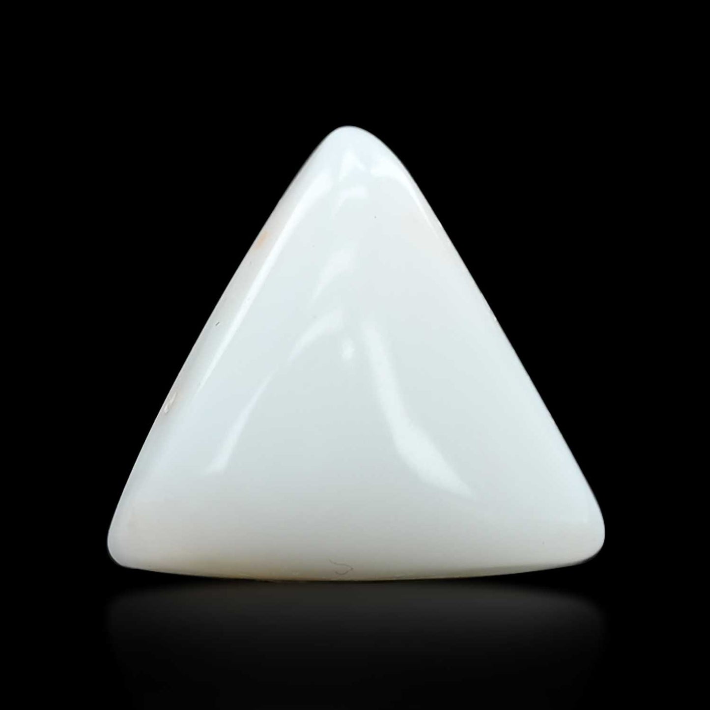 Japani White Coral 12.71 Carat