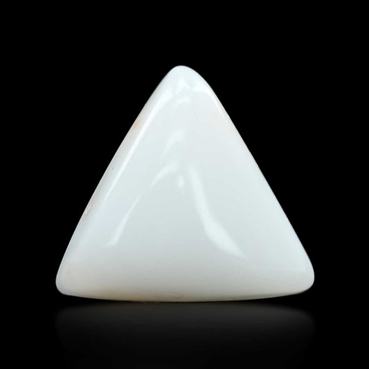 Japani White Coral 12.71 Carat