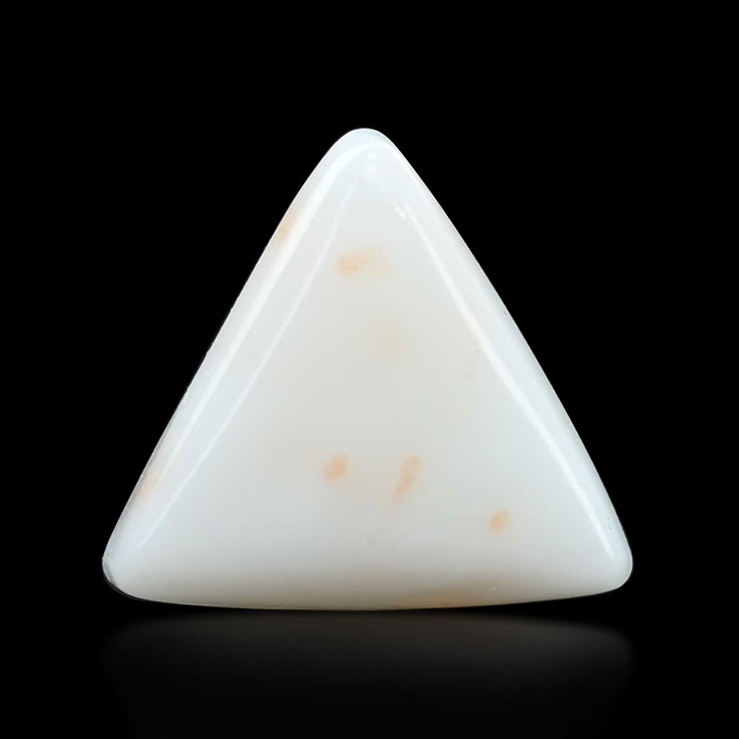 Japani White Coral 12.71 Carat