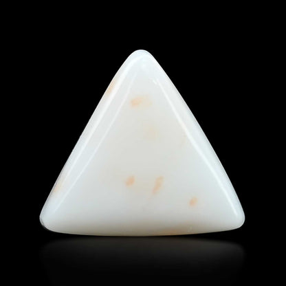 Japani White Coral 12.71 Carat