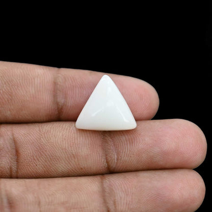 Japani White Coral 12.71 Carat