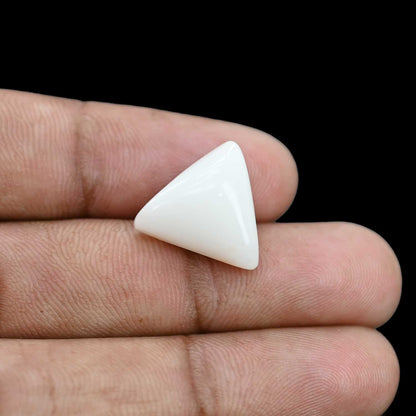 Japani White Coral 12.71 Carat