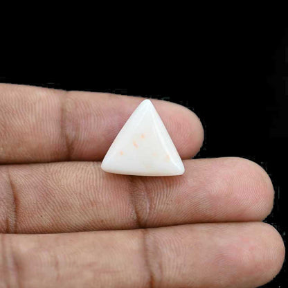 Japani White Coral 12.71 Carat