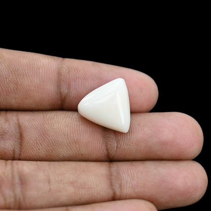 Japani White Coral 12.99 Carat