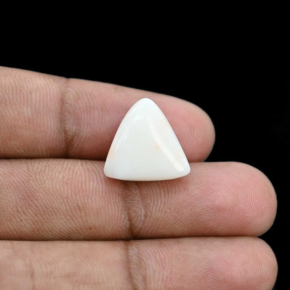 Japani White Coral 12.99 Carat