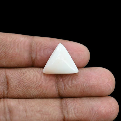 Japani White Coral 10.99 Carat