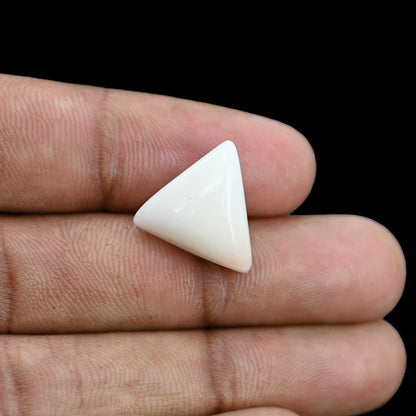 Japani White Coral 10.99 Carat