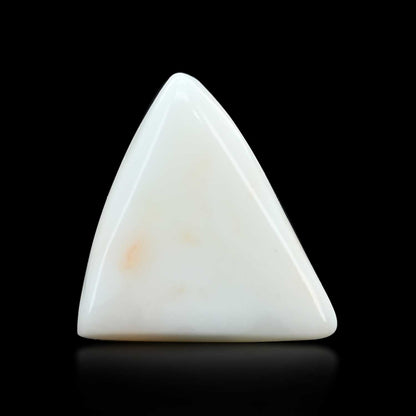 Japani White Coral 10.87 Carat