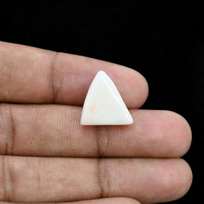 Japani White Coral 10.87 Carat