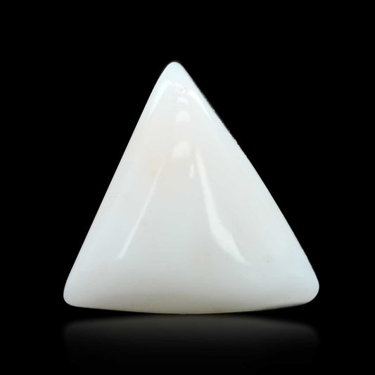 Japani White Coral 12.37 Carat