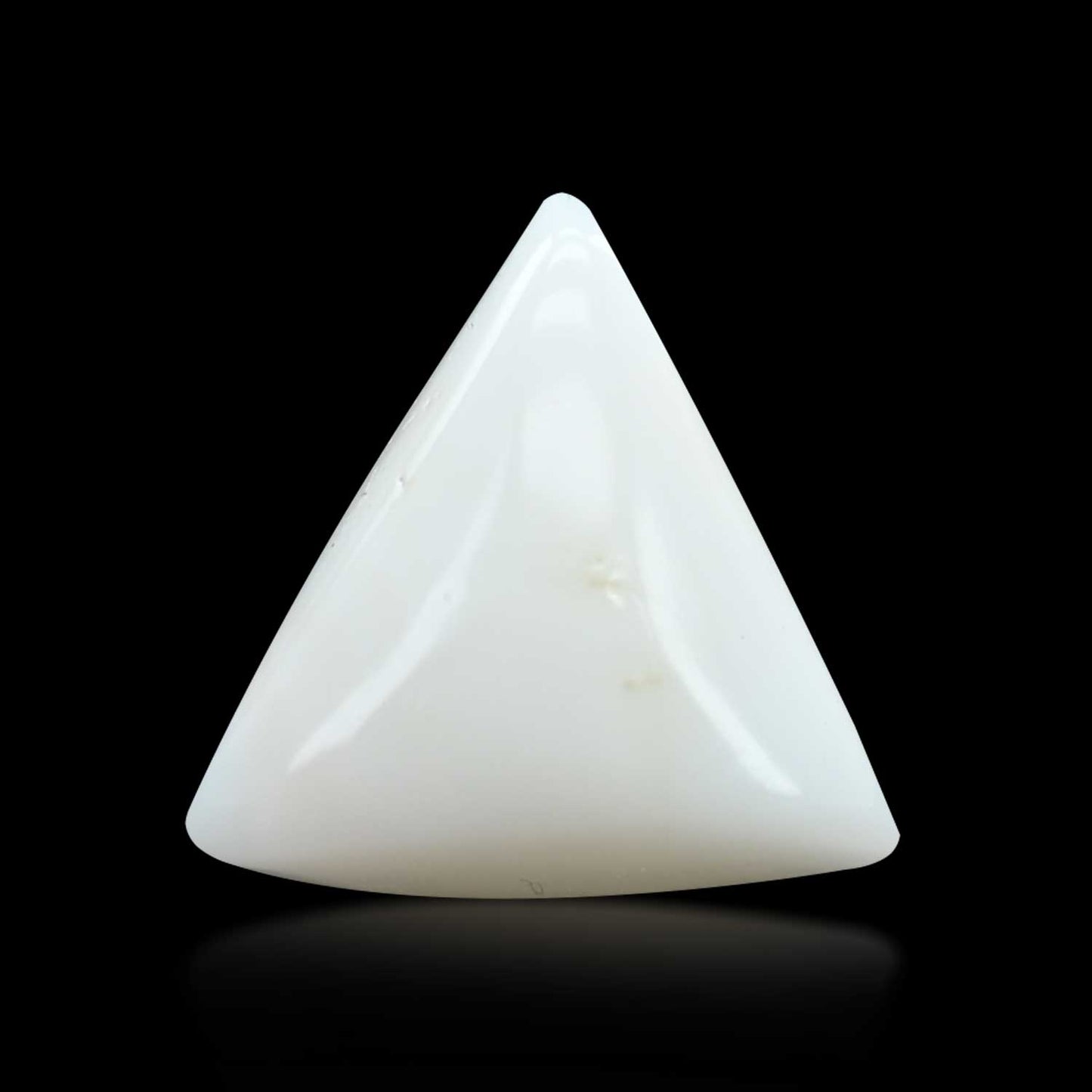 Japani White Coral 12.37 Carat