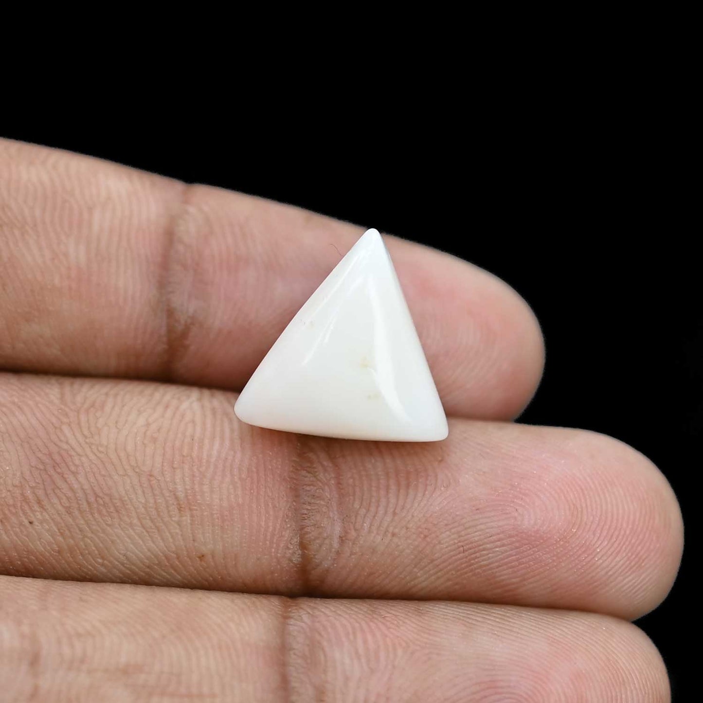 Japani White Coral 12.37 Carat