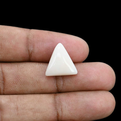Japani White Coral 9.95 Carat