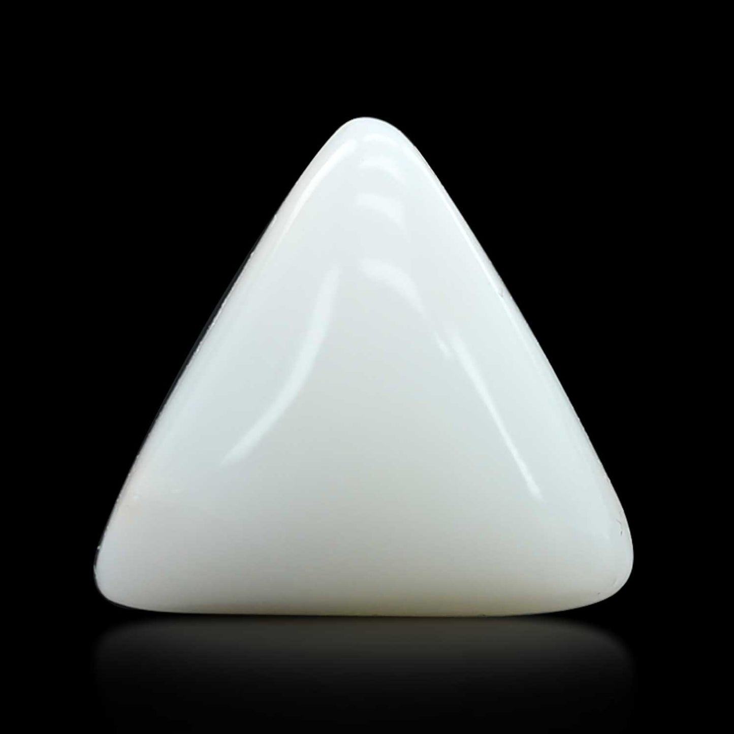 Japani White Coral 13.6 Carat