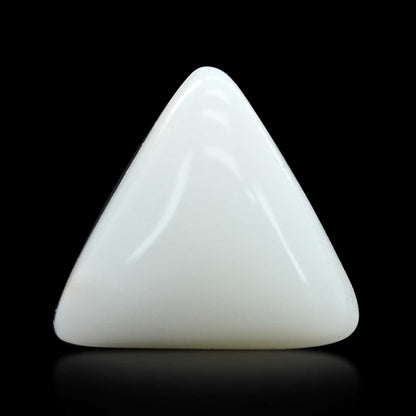 Japani White Coral 13.6 Carat
