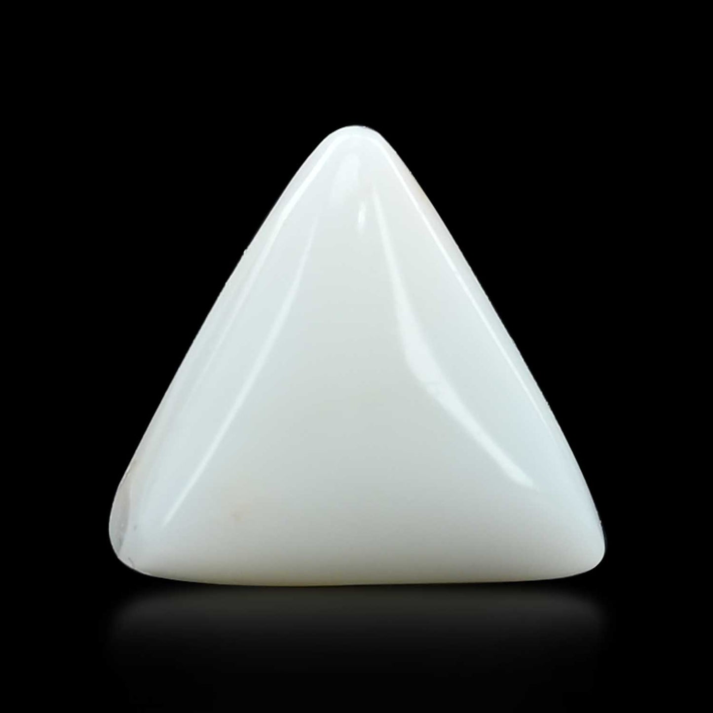 Japani White Coral 13.6 Carat