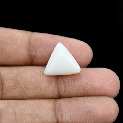 Japani White Coral 13.6 Carat