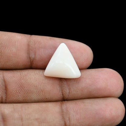 Japani White Coral 10.67 Carat