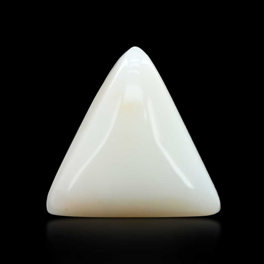 Japani White Coral 11.1 Carat