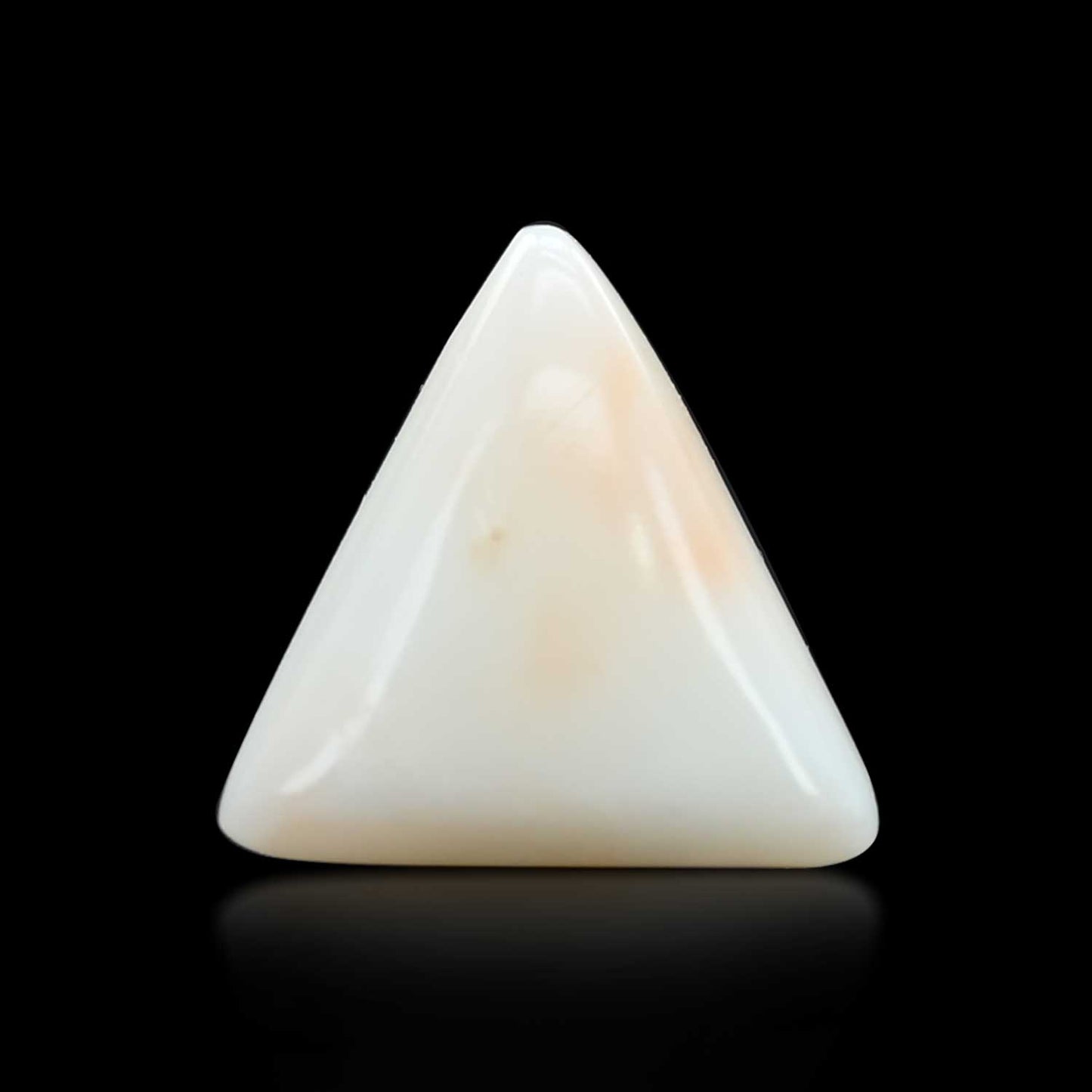 Japani White Coral 11.1 Carat