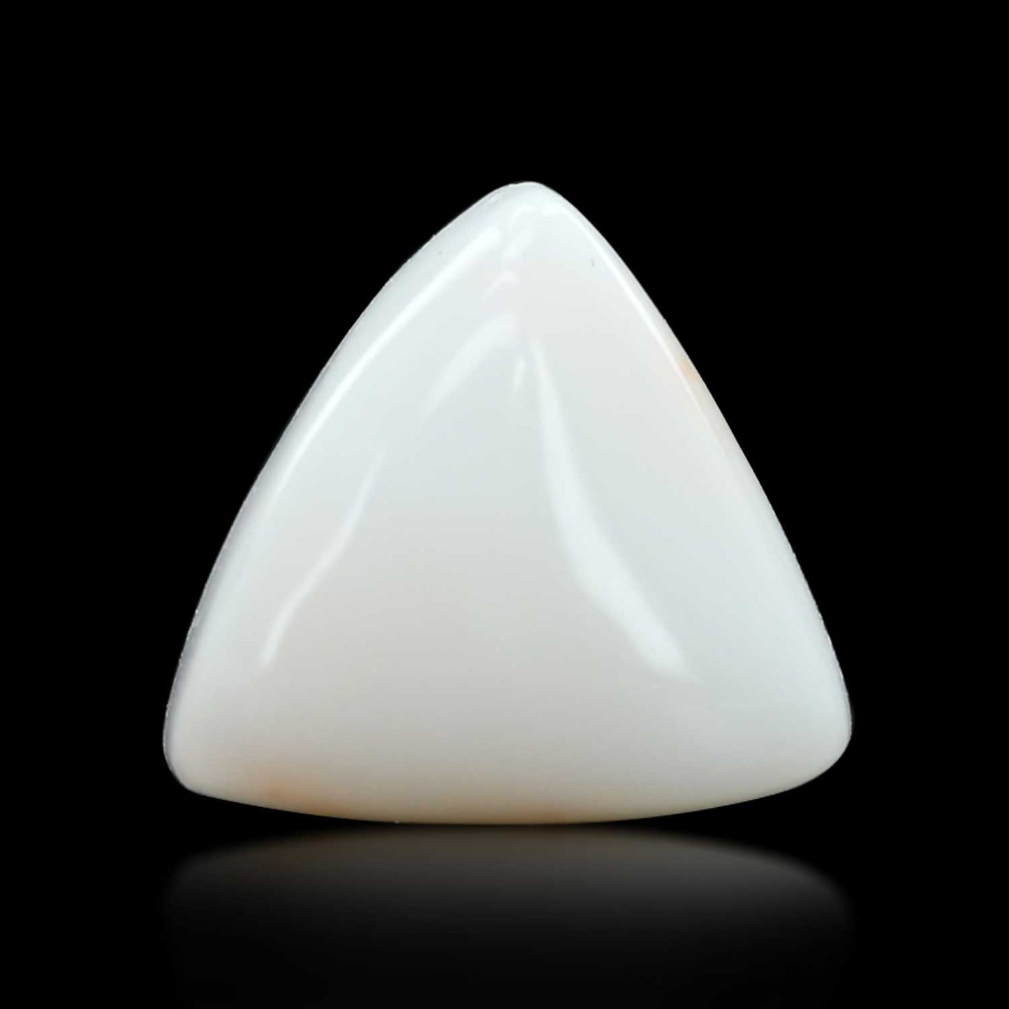 Japani White Coral 11.29 Carat