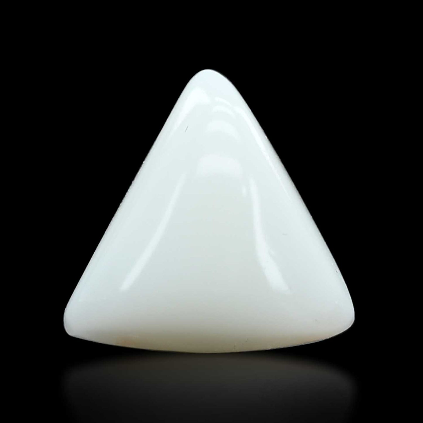 Japani White Coral 9.13 Carat