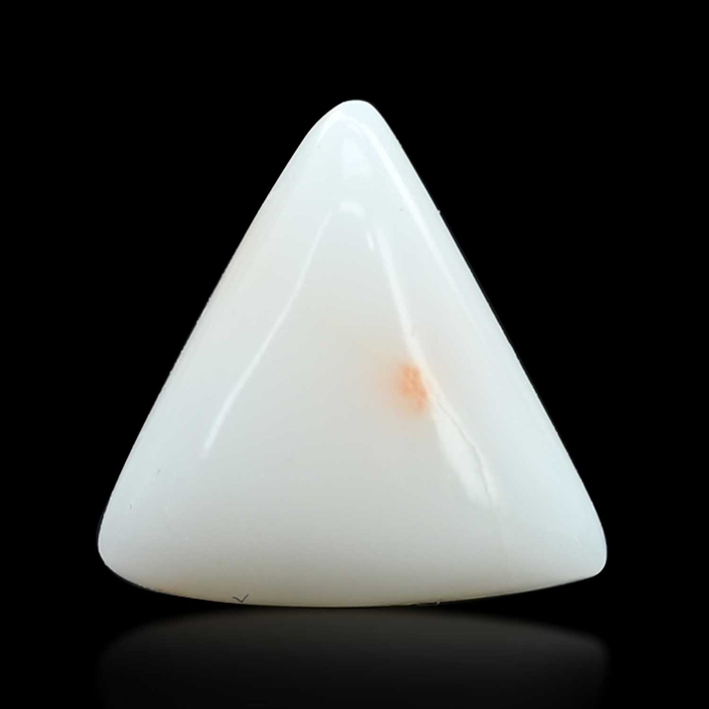 Japani White Coral 9.13 Carat