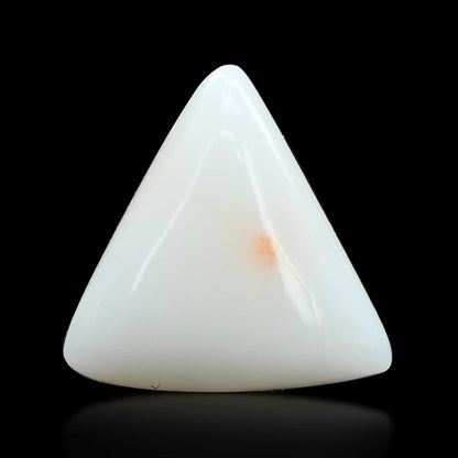 Japani White Coral 9.13 Carat