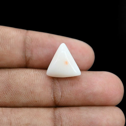 Japani White Coral 9.13 Carat