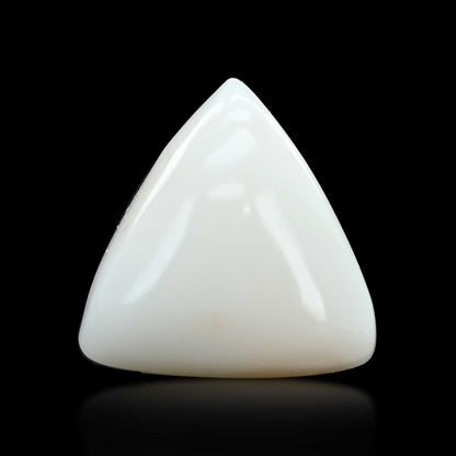 Japani White Coral 9.19 Carat
