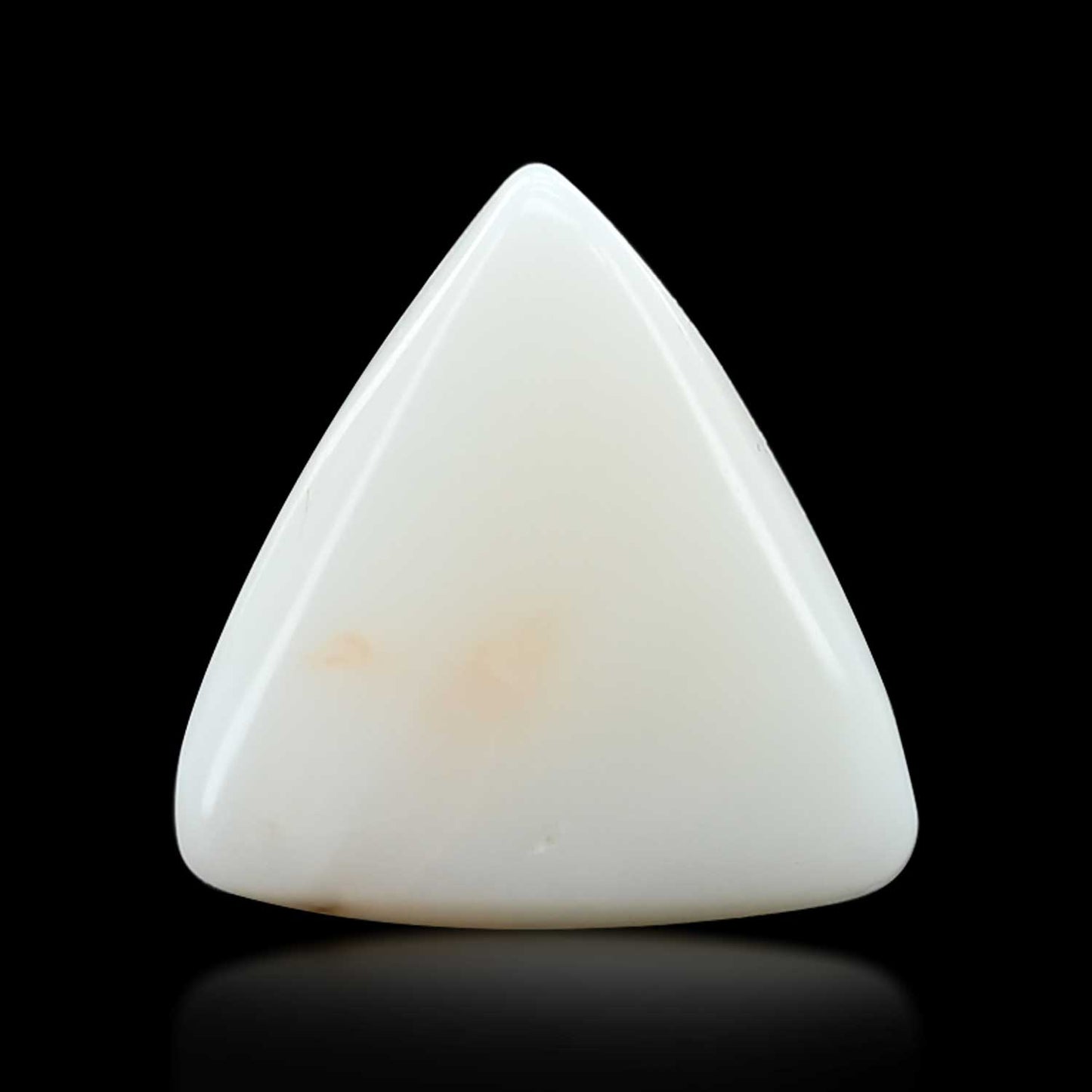 Japani White Coral 9.19 Carat