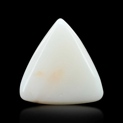 Japani White Coral 9.19 Carat