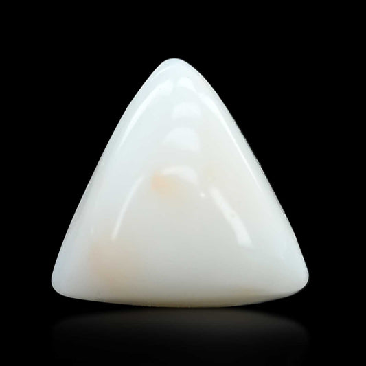 Japani White Coral 9.82 Carat