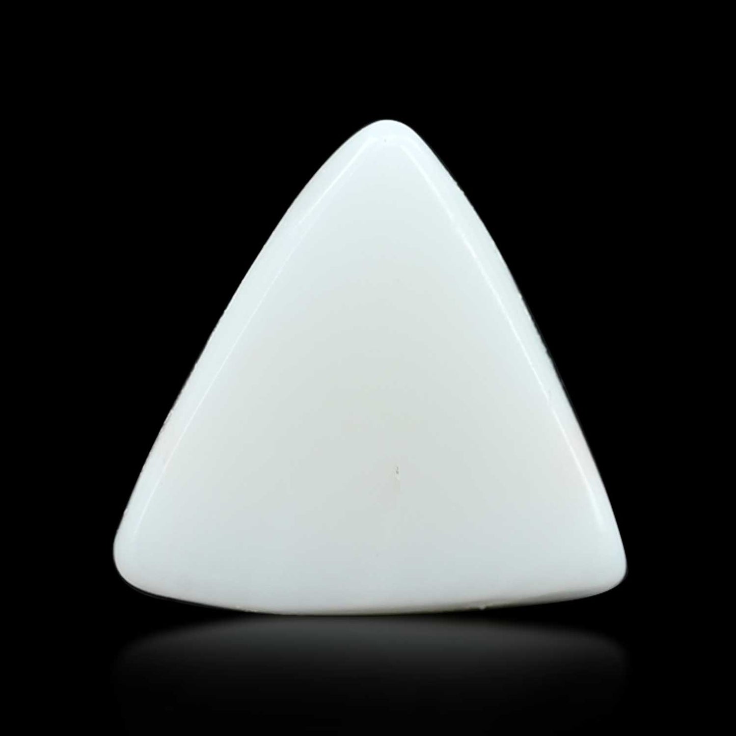 Japani White Coral 9.82 Carat