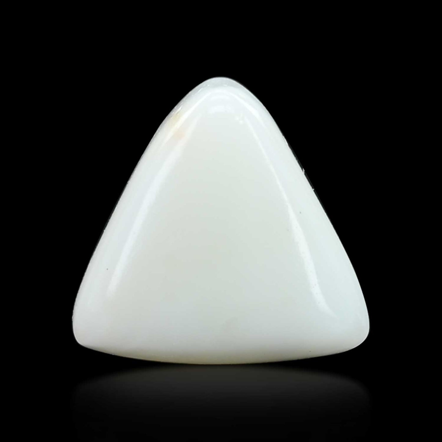Japani White Coral 9.41 Carat