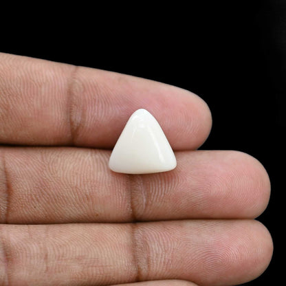 Japani White Coral 9.41 Carat