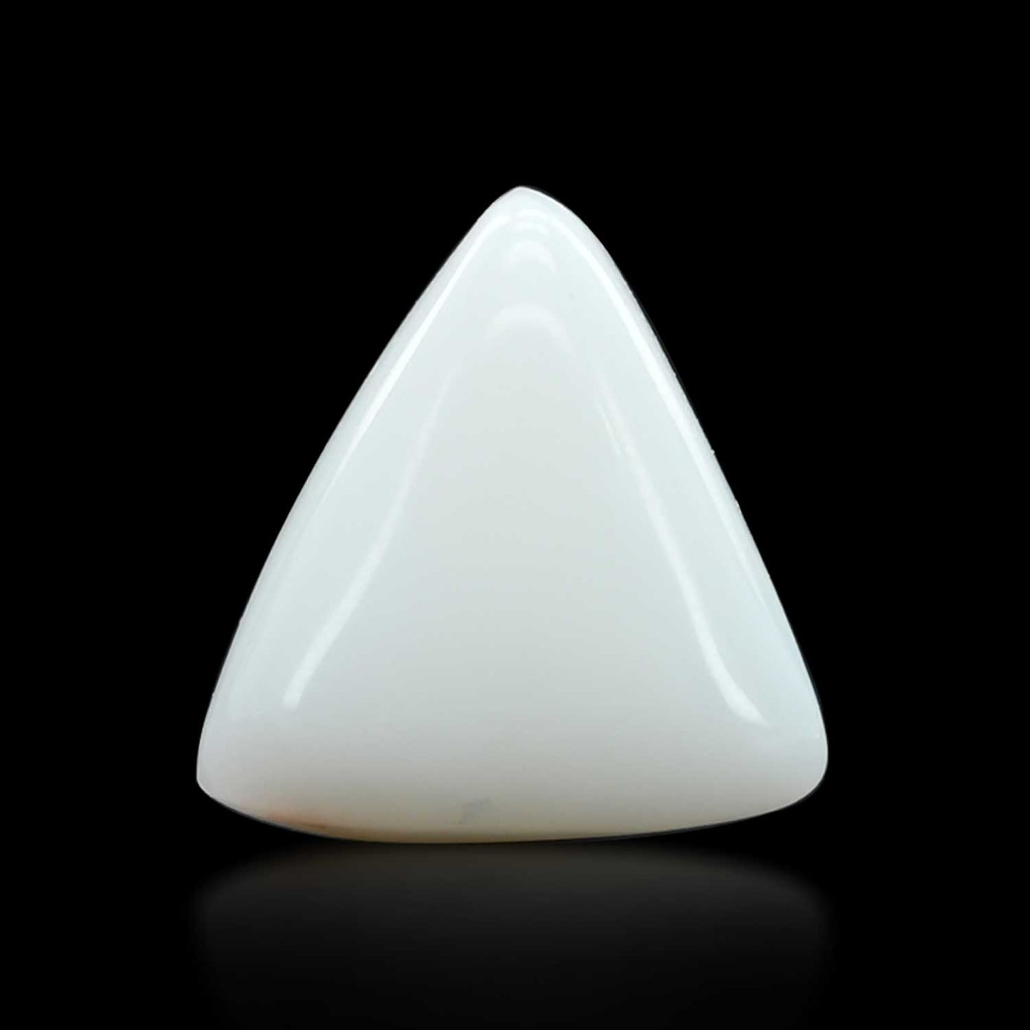 Japani White Coral 8.82 Carat