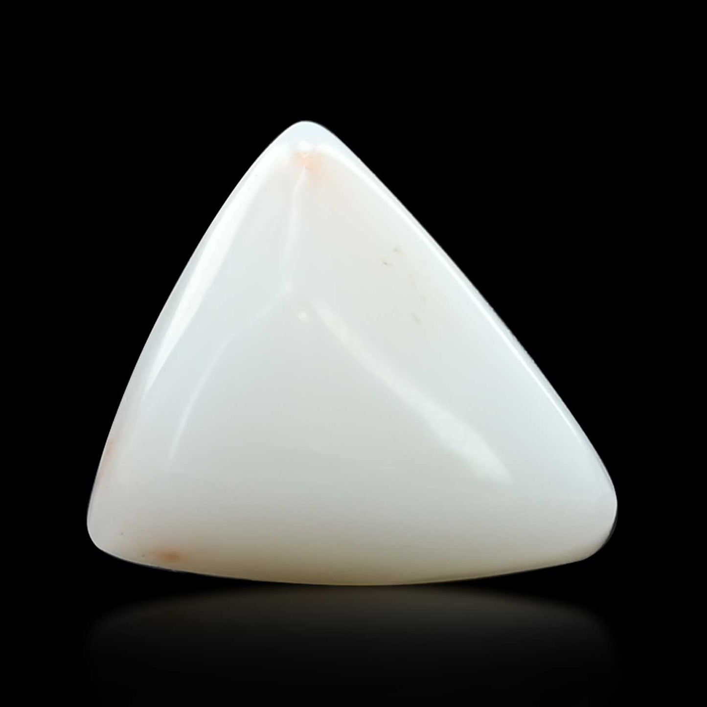 Japani White Coral 8.82 Carat