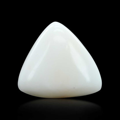 Japani White Coral 9.56 Carat