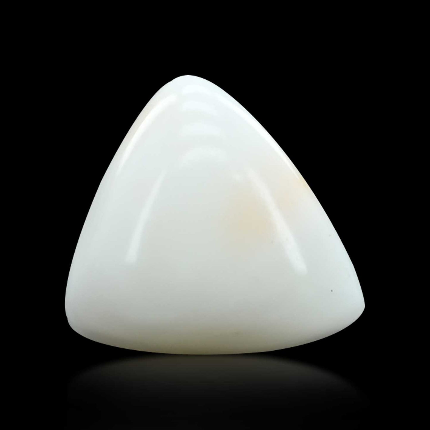 Japani White Coral 9.56 Carat