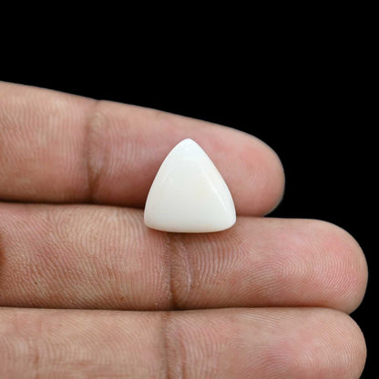 Japani White Coral 9.56 Carat