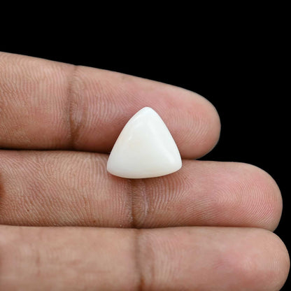 Japani White Coral 9.56 Carat