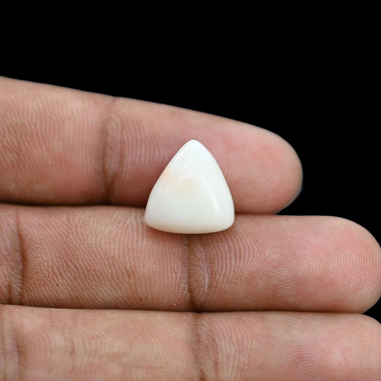 Japani White Coral 9.56 Carat