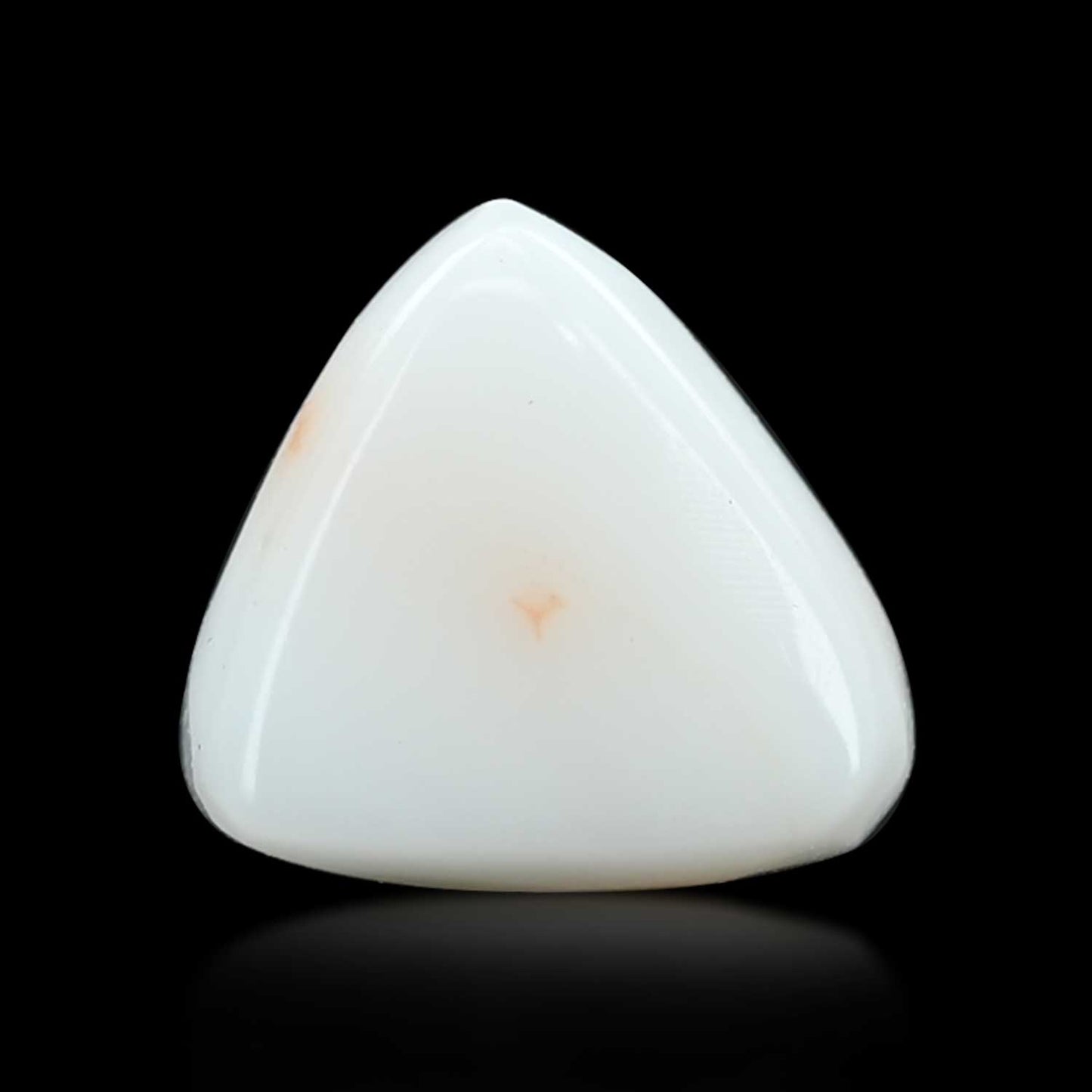 Japani White Coral 11.21 Carat