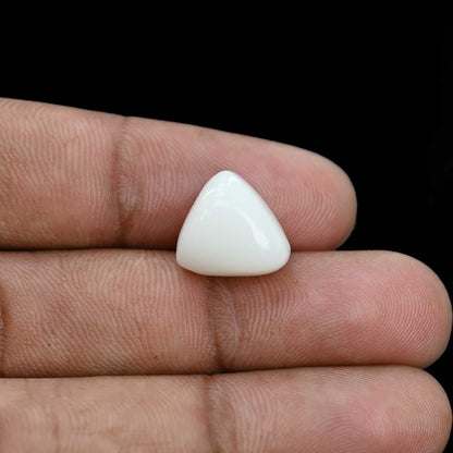 Japani White Coral 11.21 Carat
